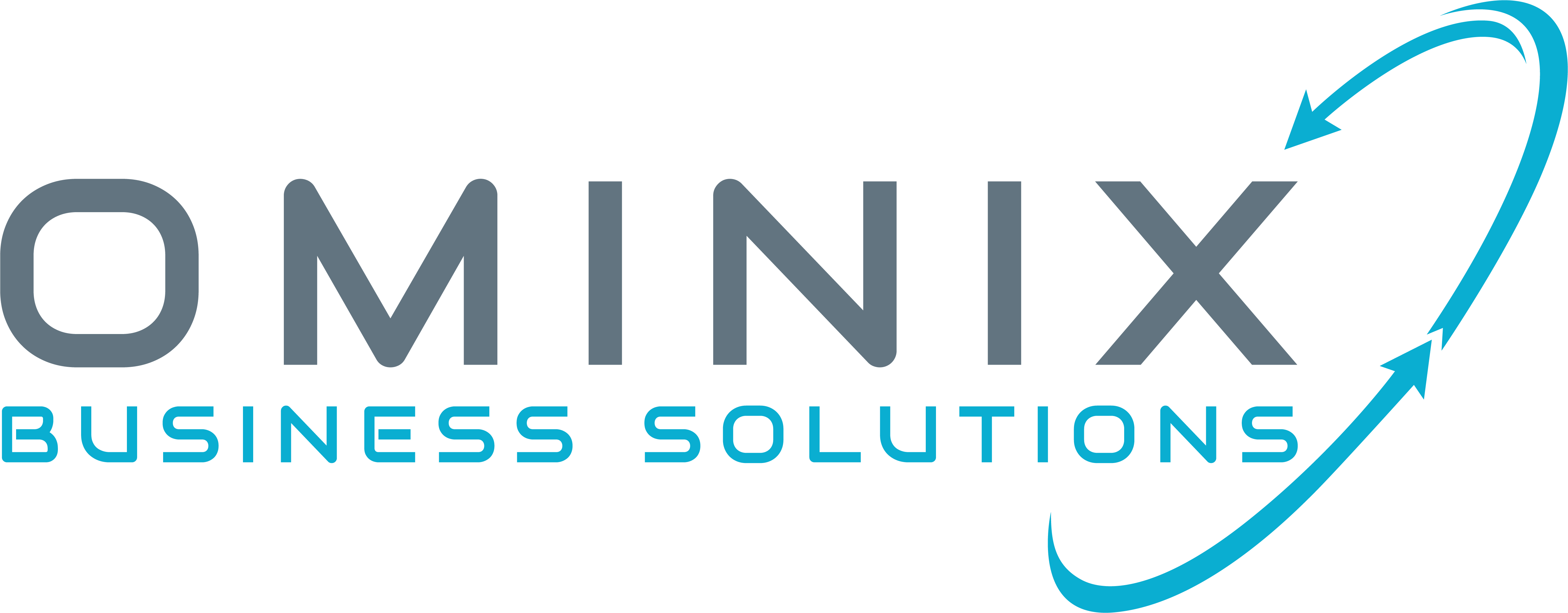 Ominix Business Solutions